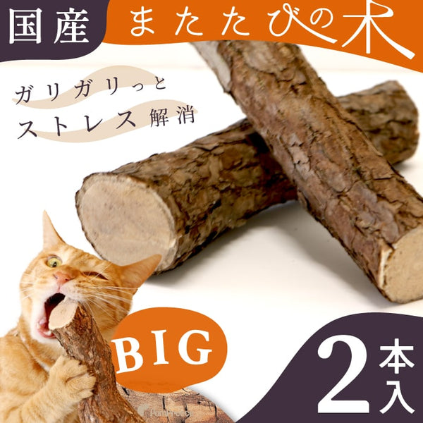 貓用 日本國產 木天蓼 特大尺寸（2枝）BIG